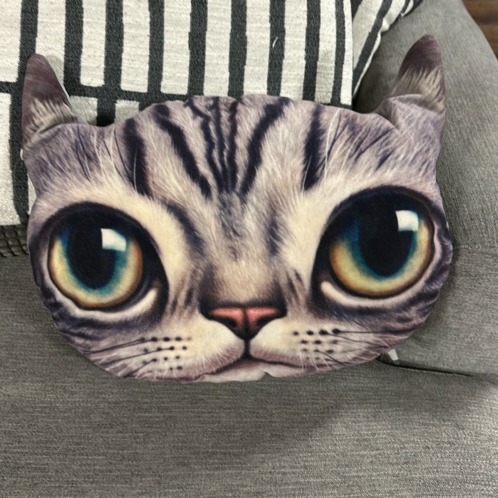 Cat pillow